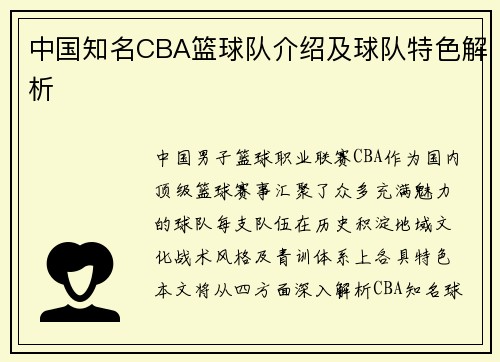 中国知名CBA篮球队介绍及球队特色解析